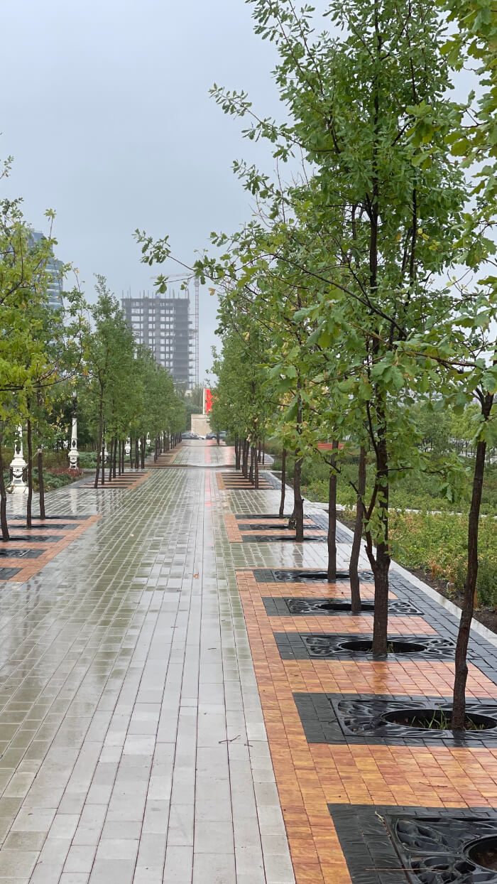 Приствольная решетка для дерева ZKING CRUST 1.2х1.2м Черная в Бишкеке фото