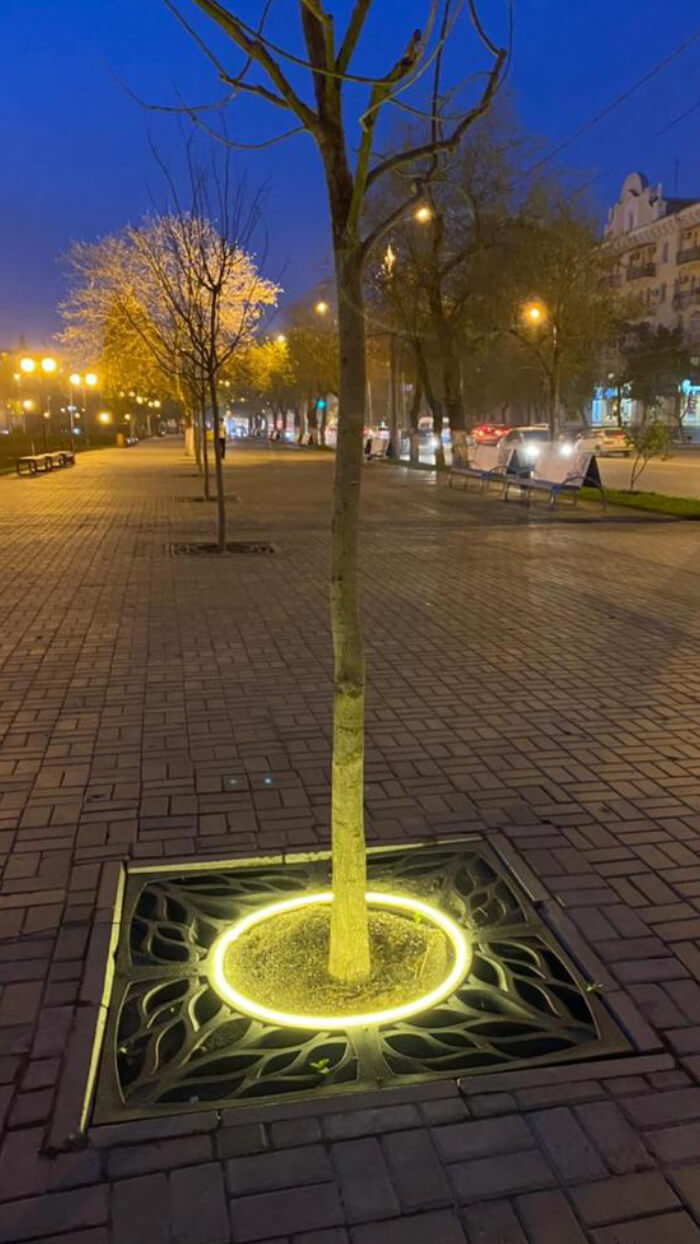 Приствольная решетка для дерева ZKING CRUST 1.2х1.2м Черная в Бишкеке фото